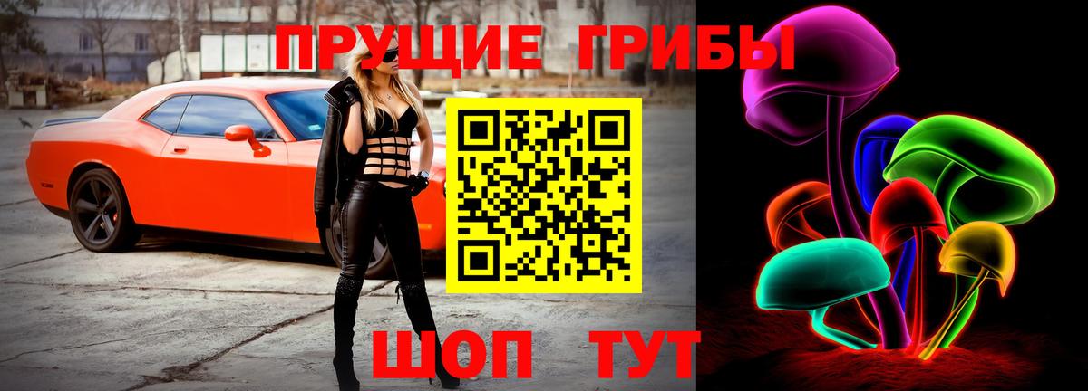 Унеча  Псилоцибиновые грибы Psilocybe  Псилоцибиновые грибы ЛСД  Вход с VPN 